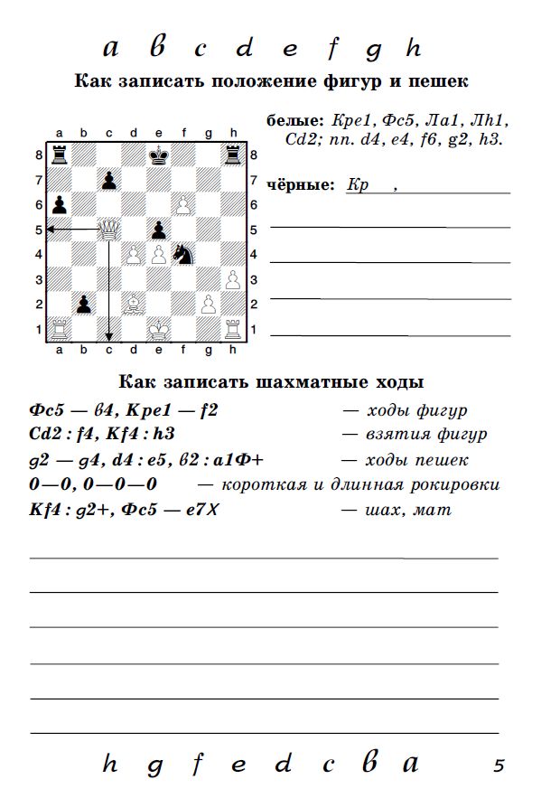 Блокнот шахматенка